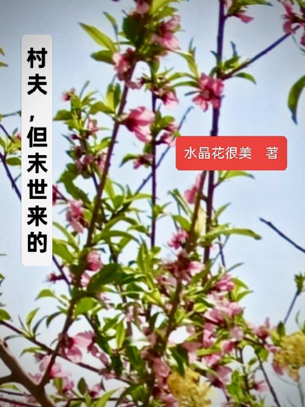 村夫但末世来的